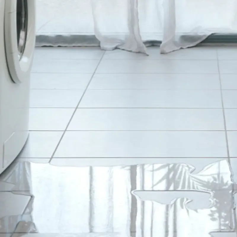 Appliance Leak Cleanup in Lakeview, GA